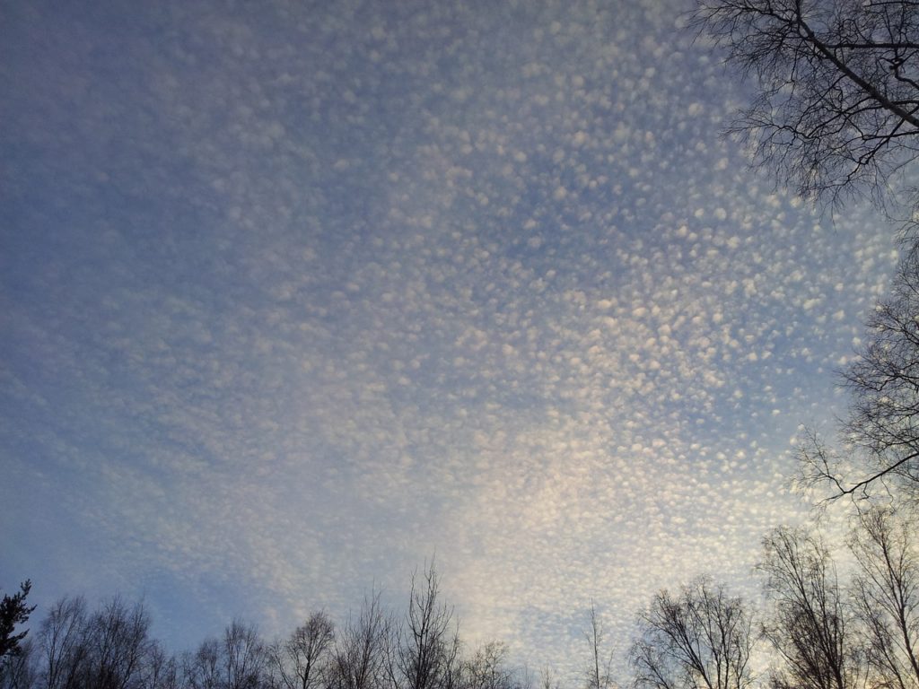 イラスト図解 十種雲形 雲の種類 雲観察が好きな方へ くらしのノート 21 イラスト図解 十種雲形 雲の種類 雲観察が好きな方へ くらしのノート 21